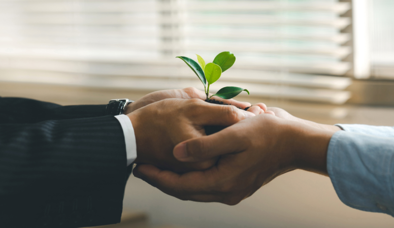ESG Reporting in Singapore: Standards & Regulations
