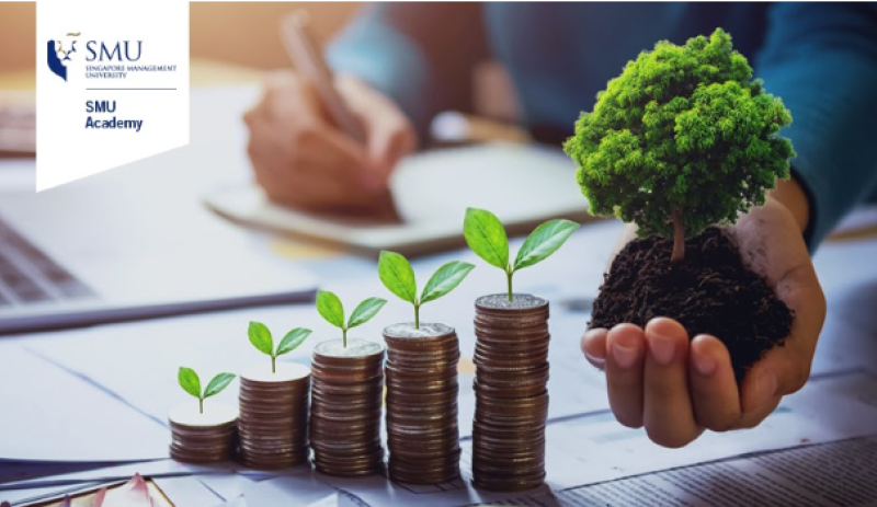 Sustainable is Profitable: How Going Green is Great for Business Growth