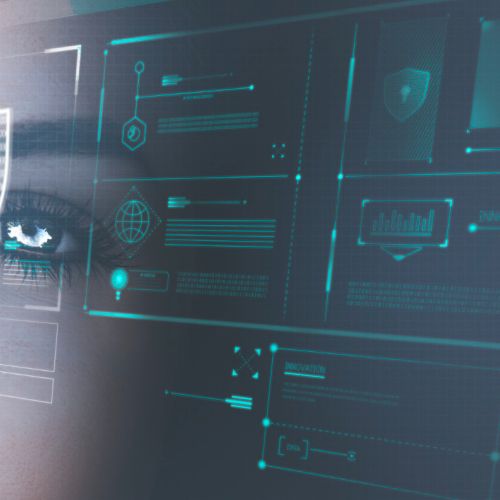 Data Protection and Governance for the Public Sector Professionals