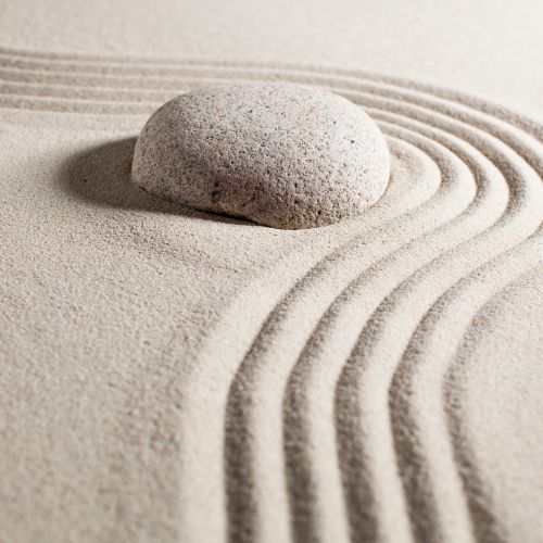 Adaptability In the Face of Disruptive Change: Practice Beyond the Theory