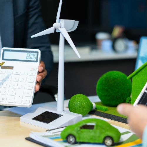 Carbon Markets and Pricing Mechanisms