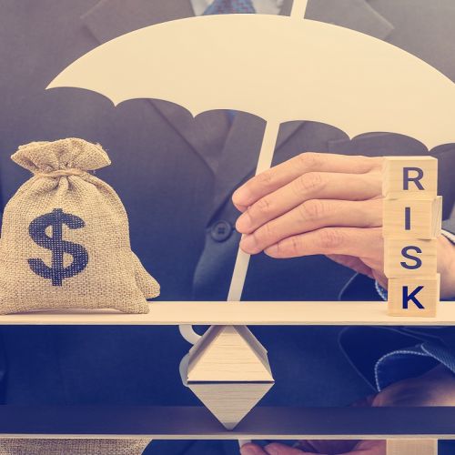 The Financial Potential and Risks of New Business Ideas