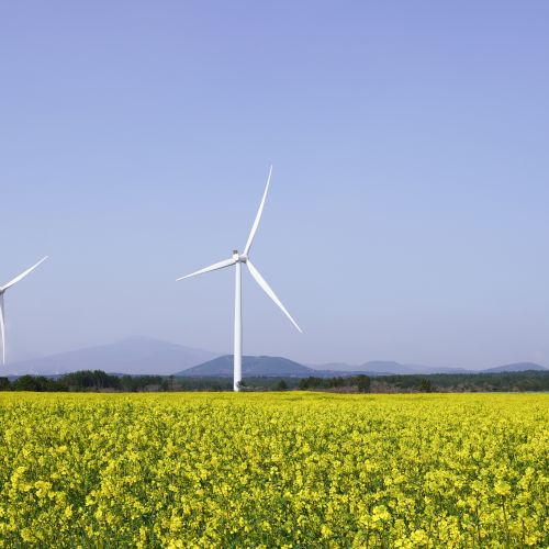 Internationalisation Series: Green Technology and Sustainable Innovations in Korea