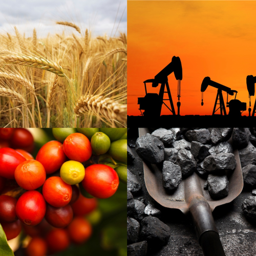 An Insight into Commodity Trading Firms from a Financing Perspective